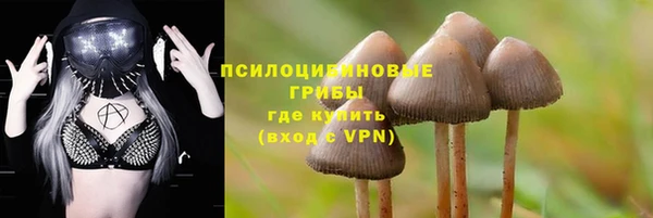 spice Верхний Тагил