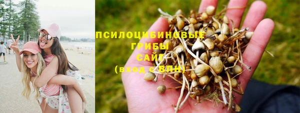 spice Верхний Тагил