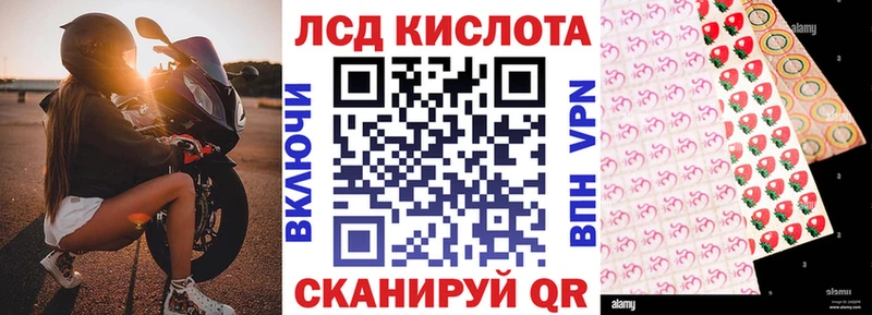 Марки N-bome 1500мкг  гидра маркетплейс  Ядрин 
